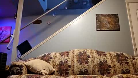 BONER DONOR online show from February 2025 07:15:01 AM