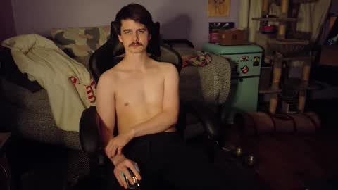 Wyatt online show from November 2025 07:19:01 AM