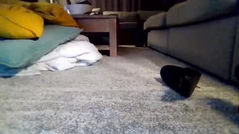 Snapshot of wyndir chatting on November 2025 07:32:02 PM wyndir online show from November 2025 07:32:02 PM