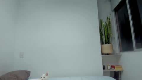 Xavier online show from September 2025 12:38:01 AM