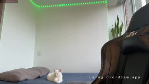 Snapshot of xavier_colleman chatting on May 2026 10:26:02 PM Xavier online show from May 2026 10:26:02 PM