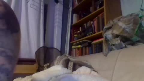 Snapshot of xlpack69 chatting on December 2024 11:16:02 PM John online show from December 2024 11:16:02 PM