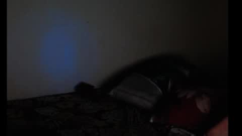 merayel online show from September 2025 05:29:01 AM