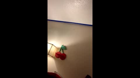 xtika online show from January 2025 08:18:02 AM