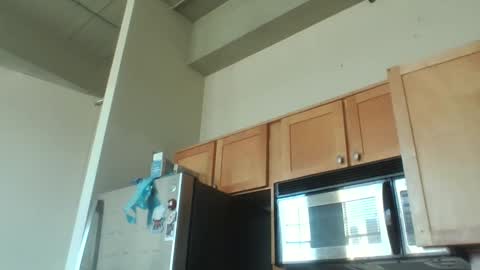 Danielle online show from December 2025 08:29:01 PM