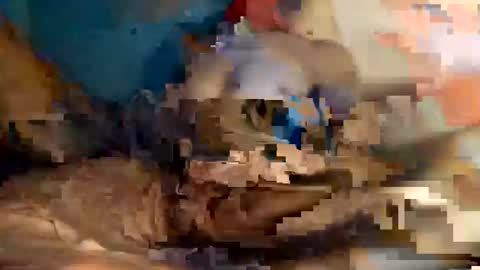 xxxdarknagician81 online show from September 2025 03:13:02 PM