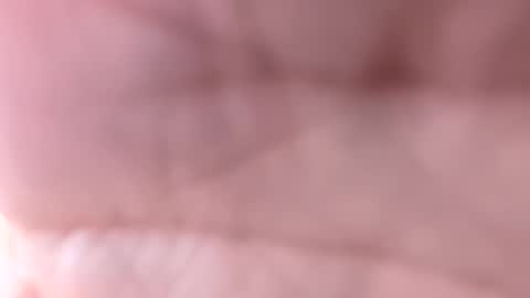 yoitsmr online show from March 2026 08:41:02 AM