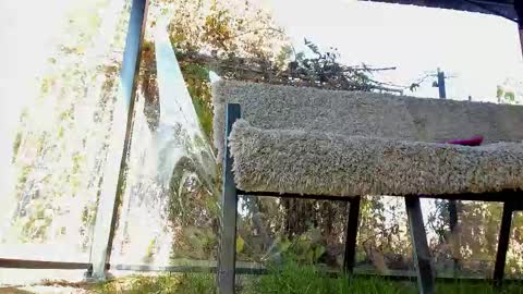 private on 18 per minute start private 500 tokensOnlyfans  online show from November 2025 11:56:01 AM