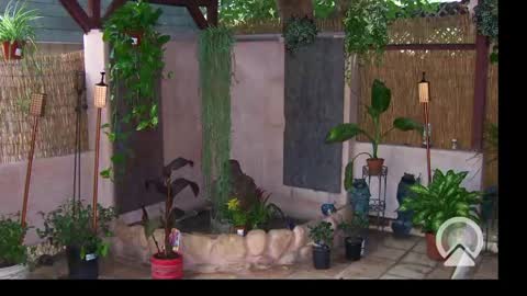 Sophiestar online show from February 2025 10:26:01 AM