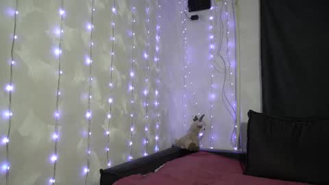 Meri  online show from February 2026 09:15:02 PM