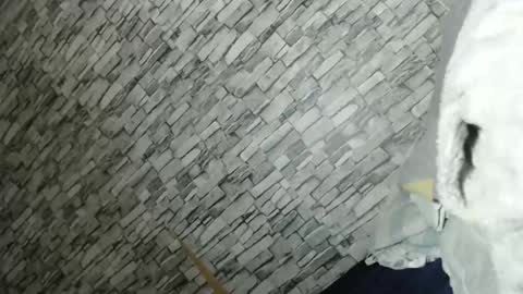 angel online show from February 2026 02:14:01 PM