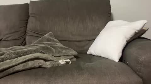 Snapshot of yournextguy0 chatting on November 2025 02:15:01 PM Your Next Guy online show from November 2025 02:15:01 PM