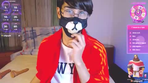 the puppy boy online show from February 2025 03:39:02 AM