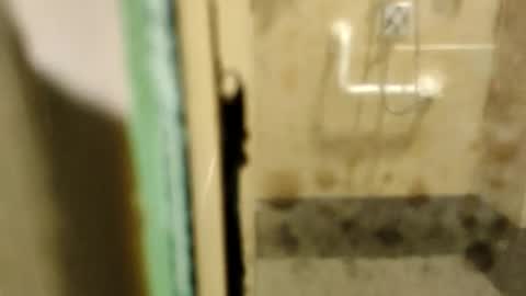 ZUL online show from February 2026 01:53:01 AM