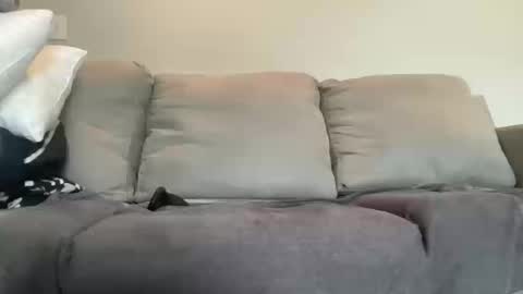 Snapshot of zaned_ chatting on October 2025 03:54:01 PM Zane D online show from October 2025 03:54:01 PM