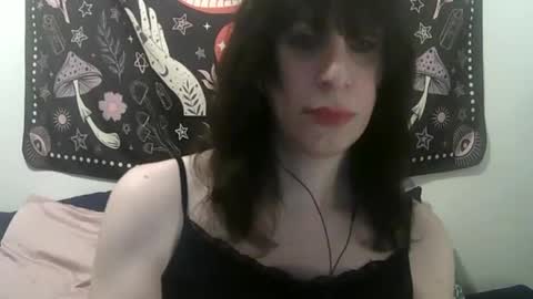 Snapshot of zeldasroom chatting on January 2025 10:45:01 PM Zelda online show from January 2025 10:45:01 PM