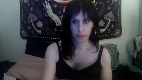Snapshot of zeldasroom chatting on February 2025 11:27:01 PM Zelda online show from February 2025 11:27:01 PM