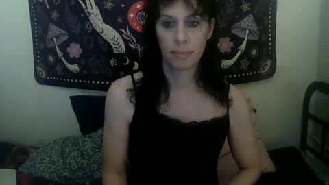 Snapshot of zeldasroom chatting on February 2025 04:46:02 AM Zelda online show from February 2025 04:46:02 AM