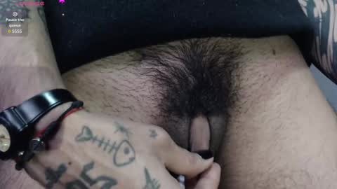 Zeldris online show from February 2025 03:50:02 PM