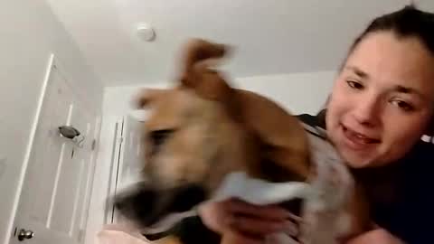 Snapshot of zellelajay2009 chatting on February 2025 02:14:01 AM KENDAL Kaylee online show from February 2025 02:14:01 AM