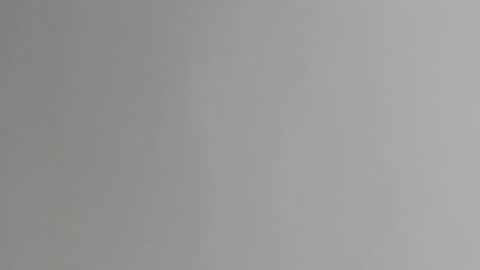 zia online show from October 2025 11:22:01 AM