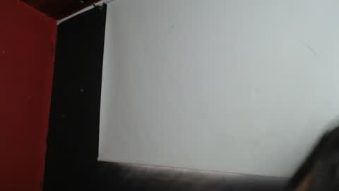 Snapshot of zoegp chatting on January 2025 02:30:02 PM Laura online show from January 2025 02:30:02 PM