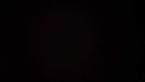 zoozdxb online show from January 2026 07:50:01 PM