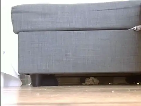 Squirtlady38 online show from March 2025 10:54:02 AM