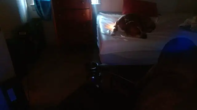 Snapshot of DADDY_KANE8--- chatting on January 2026 09:29:01 PM DADDY KANE8--- online show from January 2026 09:29:01 PM