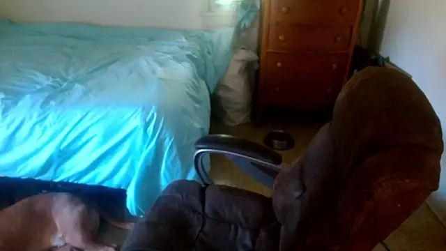 Snapshot of DADDY_KANE8--- chatting on April 2026 04:20:02 PM DADDY KANE8--- online show from April 2026 04:20:02 PM