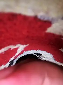 rajstrip12650 online show from February 2025 01:11:01 AM