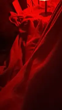 Snapshot of BirdyOfficial__ chatting on November 2025 01:27:01 AM BirdyOfficial online show from November 2025 01:27:01 AM