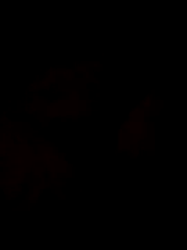 Snapshot of Sanny212 chatting on December 2024 12:40:02 PM Sanny212 online show from December 2024 12:40:02 PM