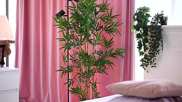 ArtTeasee online show from January 2025 09:16:02 AM