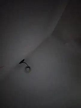 LissaThompsom online show from March 2026 11:38:02 AM