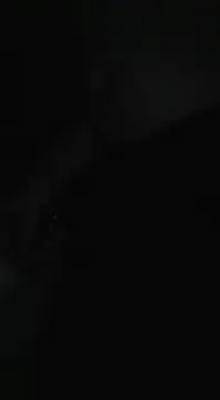 Snapshot of Bi_curious86 chatting on November 2025 04:44:02 AM Bi curious86 online show from November 2025 04:44:02 AM