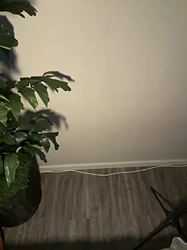 demonslayerr999 online show from March 2025 04:32:01 AM