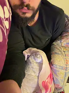 Snapshot of BigEgyptianDiick chatting on February 2026 12:26:01 AM BigEgyptianDiick online show from February 2026 12:26:01 AM