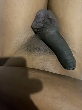 xforx online show from February 2026 12:37:02 AM