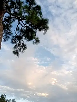 Hotbodyscottie online show from October 2025 11:41:02 AM