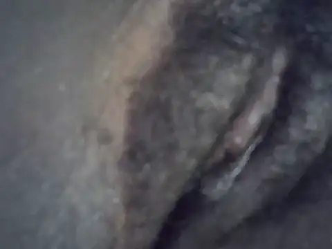 Snapshot of Sonnia_ chatting on June 2026 08:53:02 PM Sonnia online show from June 2026 08:53:02 PM