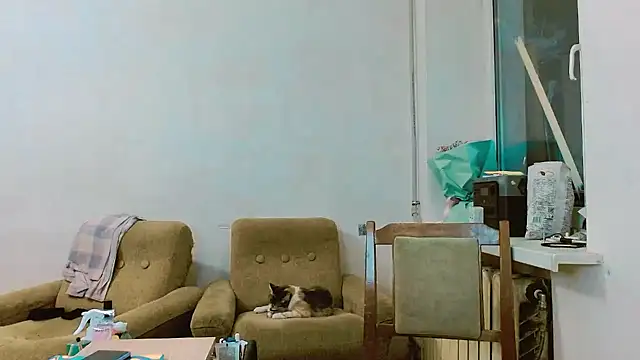 Snapshot of RosaJil chatting on February 2025 01:25:02 PM RosaJil online show from February 2025 01:25:02 PM