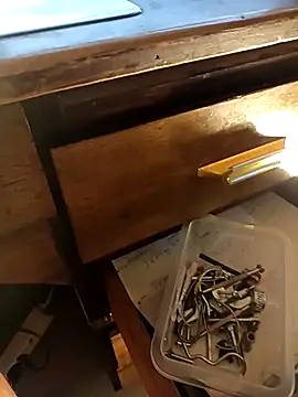 Snapshot of Rico-chow chatting on February 2025 04:47:02 PM Rico-chow online show from February 2025 04:47:02 PM