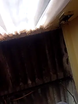 dantero online show from February 2025 03:48:02 PM