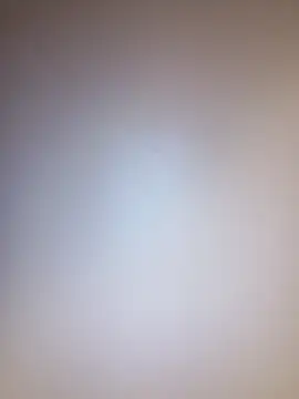 Treemandude online show from September 2025 04:50:01 PM