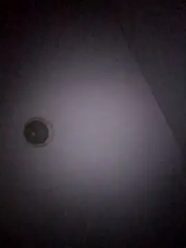 Treemandude online show from January 2026 11:04:01 AM