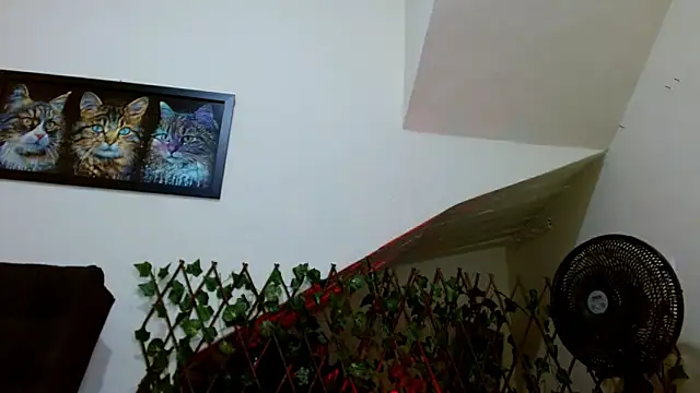 Snapshot of lady_scarlettt chatting on February 2025 04:39:02 AM lady scarlettt online show from February 2025 04:39:02 AM