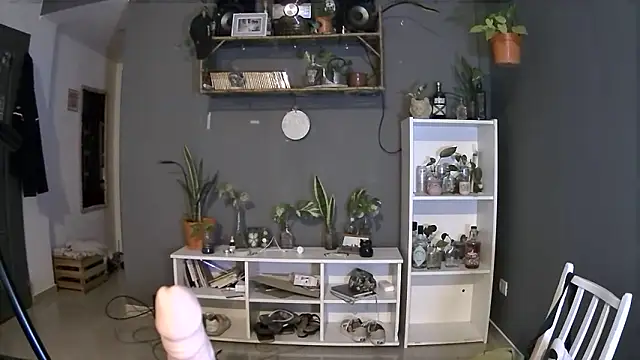 stupid babybird online show from March 2025 01:23:01 AM