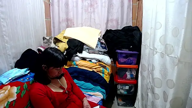 Malaya88 online show from February 2025 03:50:01 AM