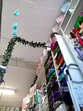 Snapshot of Mia_Novikov chatting on October 2025 08:07:02 PM Mia Novikov online show from October 2025 08:07:02 PM